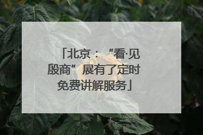 北京：“看·见殷商”展有了定时免费讲解服务