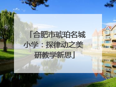 合肥市琥珀名城小学：探律动之美 研教学新思