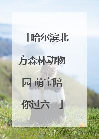 哈尔滨北方森林动物园 萌宝陪你过六一