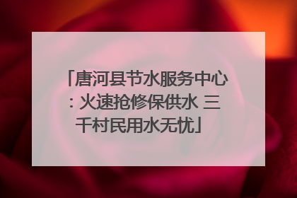 唐河县节水服务中心：火速抢修保供水 三千村民用水无忧