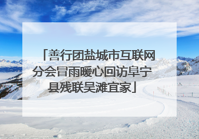 善行团盐城市互联网分会冒雨暖心回访阜宁县残联吴滩宜家