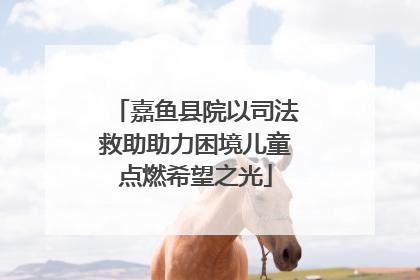嘉鱼县院以司法救助助力困境儿童点燃希望之光
