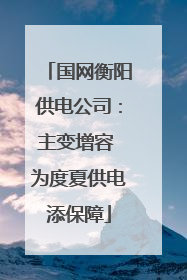 国网衡阳供电公司：主变增容 为度夏供电添保障
