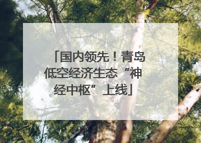 国内领先！青岛低空经济生态“神经中枢”上线