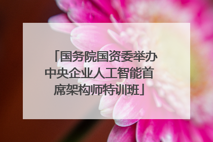 国务院国资委举办中央企业人工智能首席架构师特训班