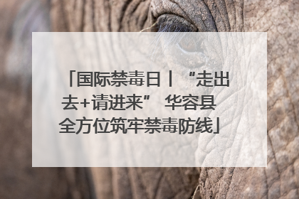 国际禁毒日丨“走出去+请进来” 华容县全方位筑牢禁毒防线