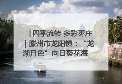四季流转 多彩枣庄｜滕州市龙阳镇：“龙湖月色”向日葵花海 绘就乡村振兴新画卷