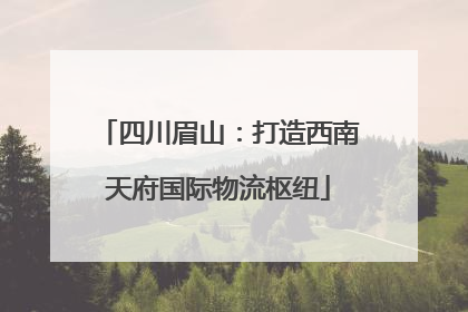 四川眉山：打造西南天府国际物流枢纽