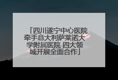 四川遂宁中心医院牵手意大利萨莱诺大学附属医院 四大领域开展全面合作