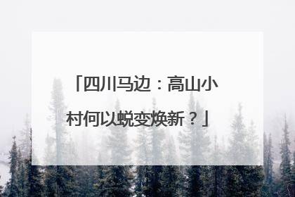 四川马边：高山小村何以蜕变焕新？
