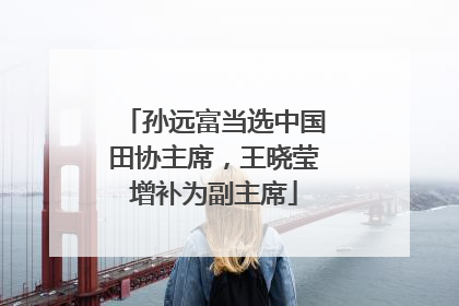 孙远富当选中国田协主席，王晓莹增补为副主席