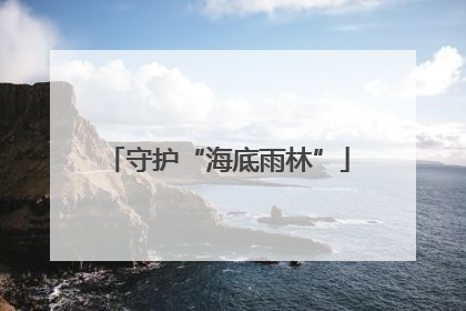 守护“海底雨林”