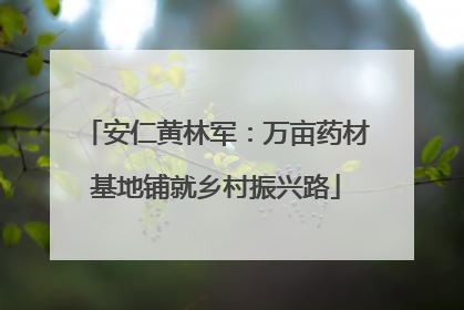 安仁黄林军：万亩药材基地铺就乡村振兴路