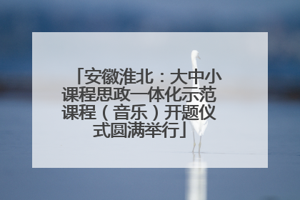 安徽淮北：大中小课程思政一体化示范课程（音乐）开题仪式圆满举行