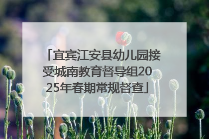 宜宾江安县幼儿园接受城南教育督导组2025年春期常规督查