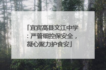 宜宾高县文江中学：严管细控保安全，凝心聚力护食安