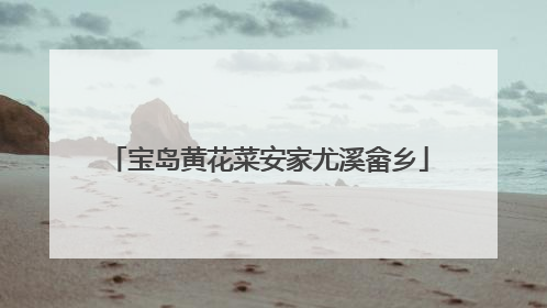 宝岛黄花菜安家尤溪畲乡
