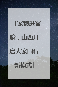 宠物进客舱，山西开启人宠同行新模式