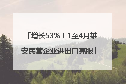 增长53%！1至4月雄安民营企业进出口亮眼