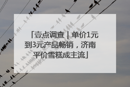 壹点调查｜单价1元到3元产品畅销，济南平价雪糕成主流