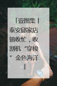 壹图集丨泰安邱家店镇收忙，收割机“穿梭”金色海洋