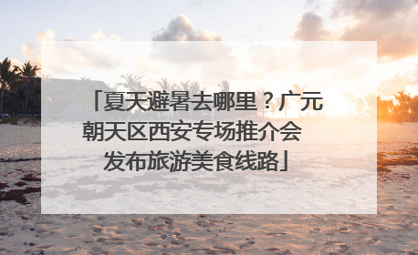 夏天避暑去哪里？广元朝天区西安专场推介会 发布旅游美食线路