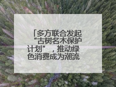 多方联合发起“古树名木保护计划”，推动绿色消费成为潮流丨新经济观察