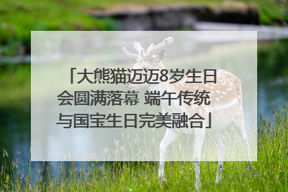 大熊猫迈迈8岁生日会圆满落幕 端午传统与国宝生日完美融合