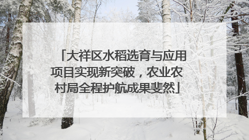 大祥区水稻选育与应用项目实现新突破，农业农村局全程护航成果斐然