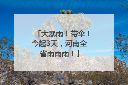 大暴雨！带伞！今起3天，河南全省雨雨雨！