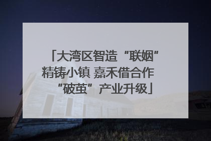 大湾区智造“联姻”精铸小镇 嘉禾借合作“破茧”产业升级