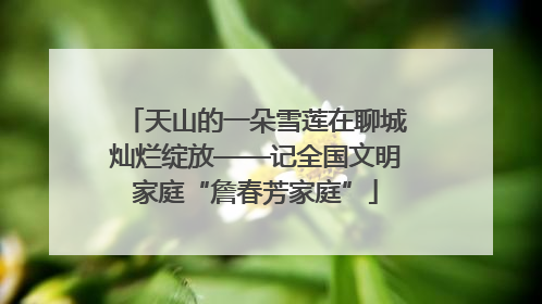 天山的一朵雪莲在聊城灿烂绽放——记全国文明家庭“詹春芳家庭”