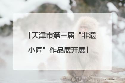 天津市第三届“非遗小匠”作品展开展
