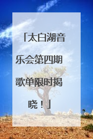 太白湖音乐会第四期歌单限时揭晓！