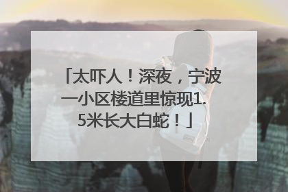 太吓人！深夜，宁波一小区楼道里惊现1.5米长大白蛇！