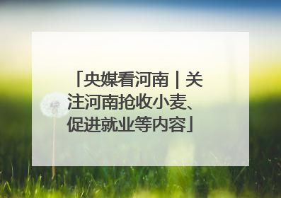央媒看河南｜关注河南抢收小麦、促进就业等内容