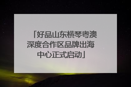 好品山东横琴粤澳深度合作区品牌出海中心正式启动