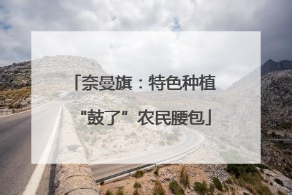 奈曼旗：特色种植“鼓了”农民腰包
