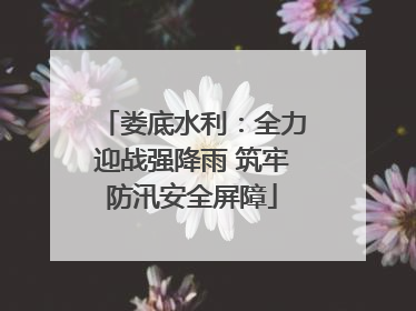 娄底水利：全力迎战强降雨 筑牢防汛安全屏障