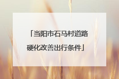 当阳市石马村道路硬化改善出行条件