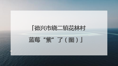 德兴市绕二镇花林村蓝莓“紫”了（图）