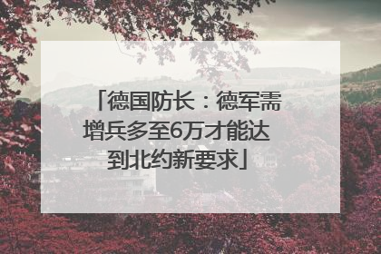 德国防长：德军需增兵多至6万才能达到北约新要求