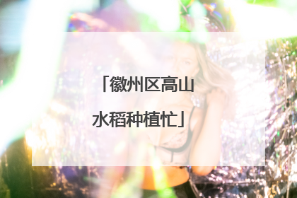 徽州区高山水稻种植忙