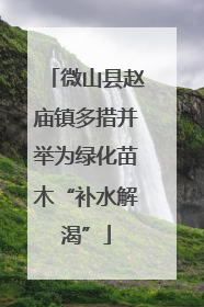 微山县赵庙镇多措并举为绿化苗木“补水解渴”