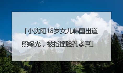 小沈阳18岁女儿韩国出道照曝光，被指撞脸孔孝真