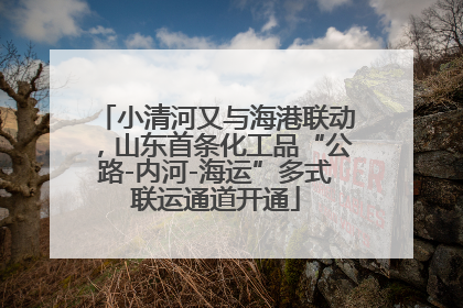 小清河又与海港联动，山东首条化工品“公路-内河-海运”多式联运通道开通
