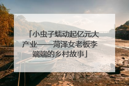 小虫子蠕动起亿元大产业——菏泽女老板李端端的乡村故事