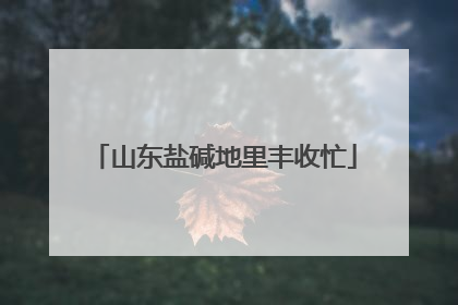 山东盐碱地里丰收忙