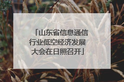 山东省信息通信行业低空经济发展大会在日照召开