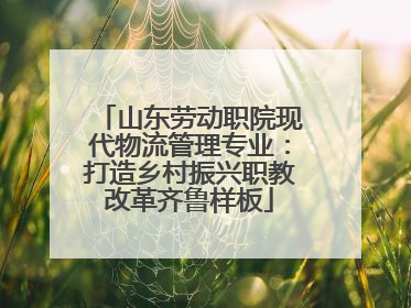 山东劳动职院现代物流管理专业：打造乡村振兴职教改革齐鲁样板